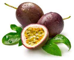 Purple passion 